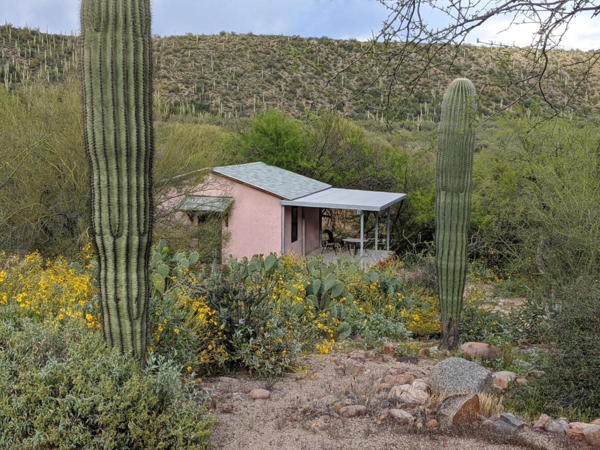 Saguaro Lake Ranch Fountain Hills Eksteriør billede